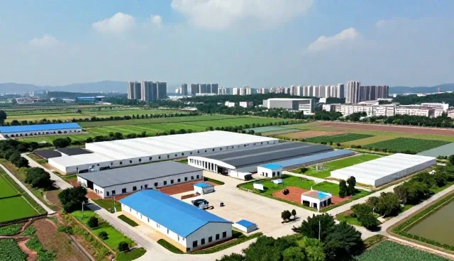 AI广告投放技术如何驱动业务优化